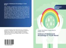 Copertina di Indexes of Adolescent Knowledge in Youth Novel