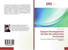 Rapport Développement Durable des collectivités territoriales kitap kapağı