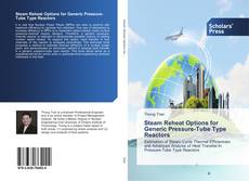 Buchcover von Steam Reheat Options for Generic Pressure-Tube Type Reactors