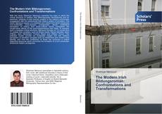 Capa do livro de The Modern Irish Bildungsroman: Confrontations and Transformations 