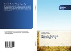 Buchcover von Molecular Control of Morphology in Fig