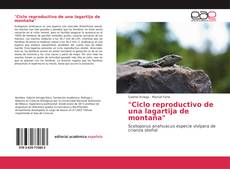 Bookcover of "Ciclo reproductivo de una lagartija de montaña"