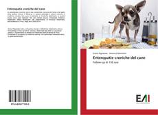 Enteropatie croniche del cane的封面
