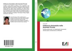 Il Bilancio Aziendale nelle Aziende Private kitap kapağı