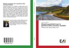 Bookcover of Metodi quantitativi per la gestione della sicurezza stradale