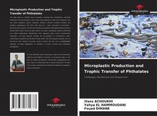 Copertina di Microplastic Production and Trophic Transfer of Phthalates