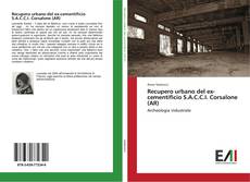 Buchcover von Recupero urbano del ex-cementificio S.A.C.C.I. Corsalone (AR)
