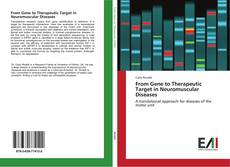 Bookcover of From Gene to Therapeutic Target in Neuromuscular Diseases