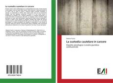 Bookcover of La custodia cautelare in carcere