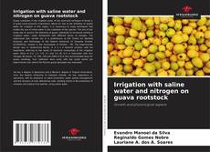 Irrigation with saline water and nitrogen on guava rootstock的封面