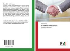 Bookcover of Il credito deteriorato