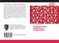 Copertina di Ciudad Juárez: violencia e inseguridad