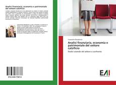 Buchcover von Analisi finanziaria, economia e patrimoniale del settore calzificio