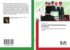 Buchcover von Il Potere Di Controllo Del Datore Di Lavoro
