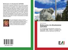 Buchcover von Bielorussia e la dissoluzione dell'URSS