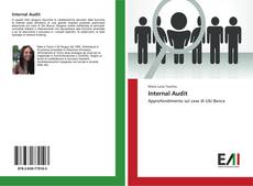 Internal Audit kitap kapağı