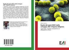 Bookcover of Ruolo dei geni HOX nello sviluppo dell`Organo Adiposo