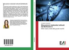 Bookcover of Meccanismi molecolari attivati dal Bisfenolo A