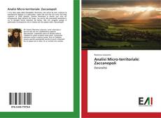Buchcover von Analisi Micro-territoriale: Zaccanopoli