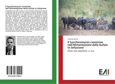 Il Saccharomyces cerevisiae nell’Alimentazione della bufala in lattazione kitap kapağı