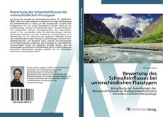Bewertung des Schwalleinflusses bei unterschiedlichen Flusstypen kitap kapağı