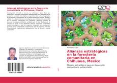 Bookcover of Alianzas estratégicas en la forestería comunitaria en Chihuaua, Mexico