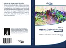 Capa do livro de Crossing the river by feeling the stones 