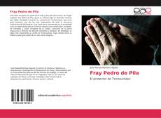 Buchcover von Fray Pedro de Pila