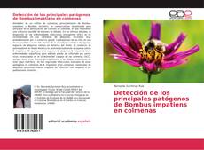 Bookcover of Detección de los principales patógenos de Bombus impatiens en colmenas
