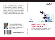 Del Laboratorio al Colaboratorio kitap kapağı
