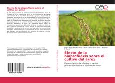 Capa do livro de Efecto de la bioprofilaxis sobre el cultivo del arroz 