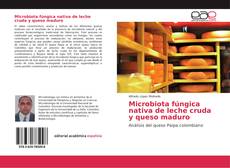 Microbiota fúngica nativa de leche cruda y queso maduro kitap kapağı