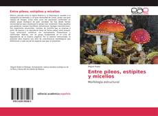 Buchcover von Entre píleos, estípites y micelios