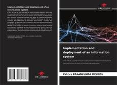 Implementation and deployment of an information system的封面