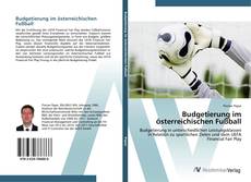 Budgetierung im österreichischen Fußball的封面