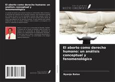 Buchcover von El aborto como derecho humano: un análisis conceptual y fenomenológico