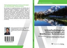 Copertina di Schneehydrologische Untersuchungen am Walchensee: Datenanalyse