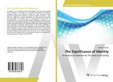 Borítókép a  The Significance of Identity - hoz