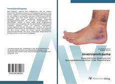 Capa do livro de Inversionstrauma 