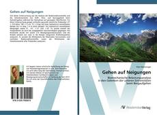 Portada del libro de Gehen auf Neigungen