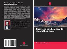 Couverture de Questões jurídico-tipo do etnoculturalismo