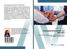 Bookcover of Sozialpartnerschaft im Wandel