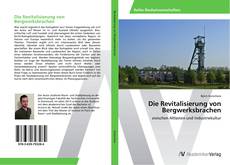 Die Revitalisierung von Bergwerksbrachen kitap kapağı