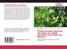 Copertina di Productividad agrícola del agua en nogal pecanero del norte de México