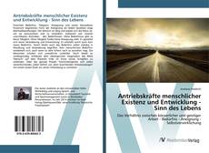 Bookcover of Antriebskräfte menschlicher Existenz und Entwicklung - Sinn des Lebens