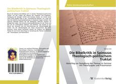 Bookcover of Die Bibelkritik in Spinozas Theologisch-politischem Traktat
