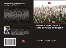 Portada del libro de Sélection de la canne à sucre exotique au Nigeria