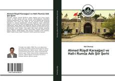 Ahmed Rüşdî Karaağacî ve Hall-i Rumûz Adlı Şiir Şerhi kitap kapağı