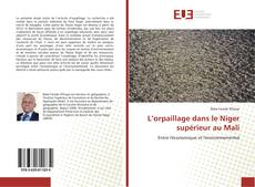 Buchcover von L’orpaillage dans le Niger supérieur au Mali