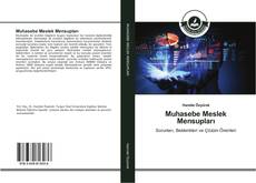 Bookcover of Muhasebe Meslek Mensupları
